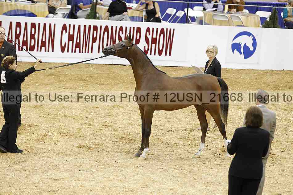Proof 12usn_21668