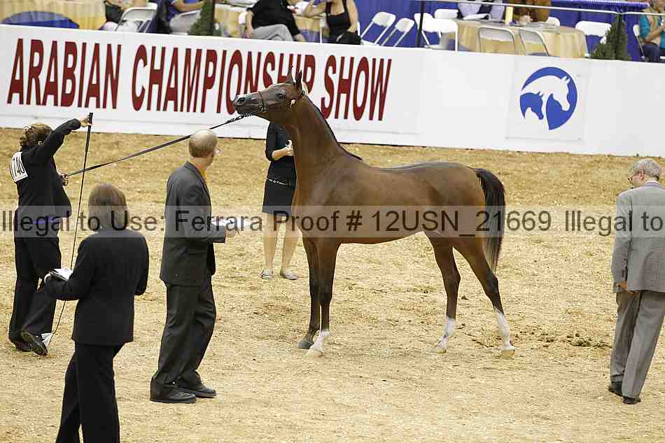 Proof 12usn_21669