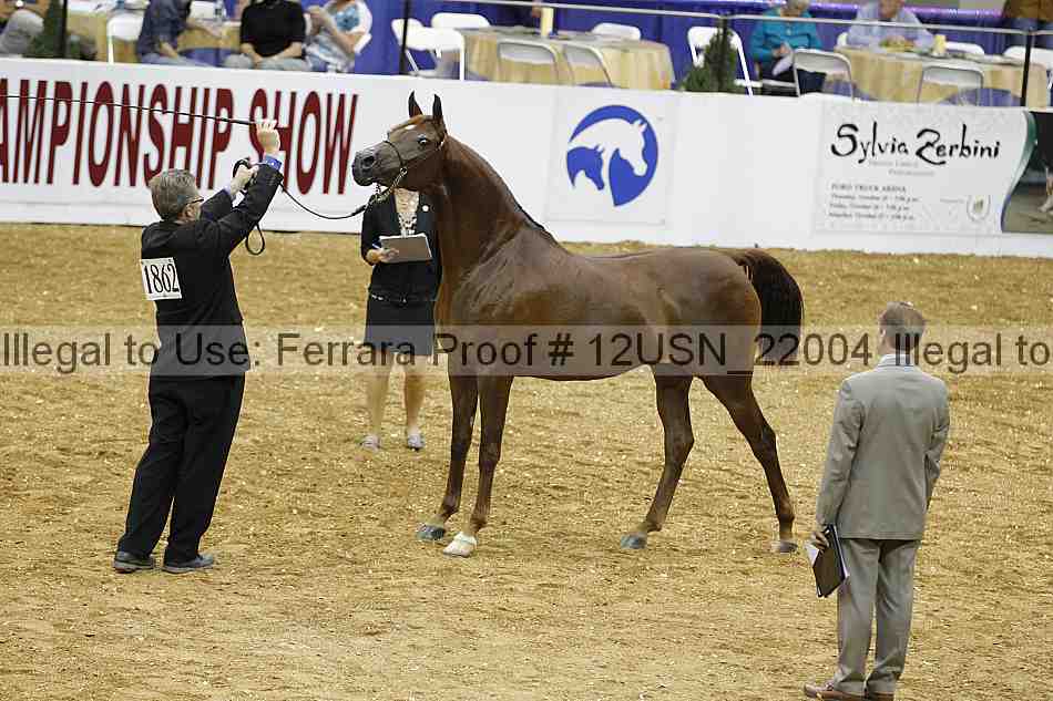 Proof 12usn_22004