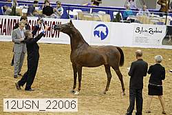 12usn_22006 proof