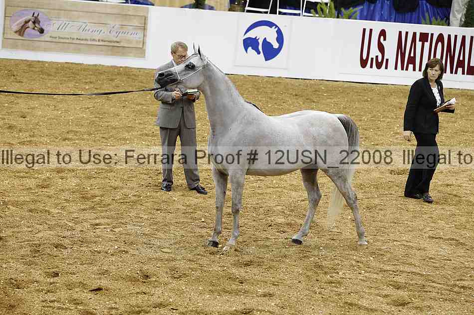 Proof 12usn_22008