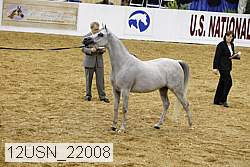 12usn_22008 proof