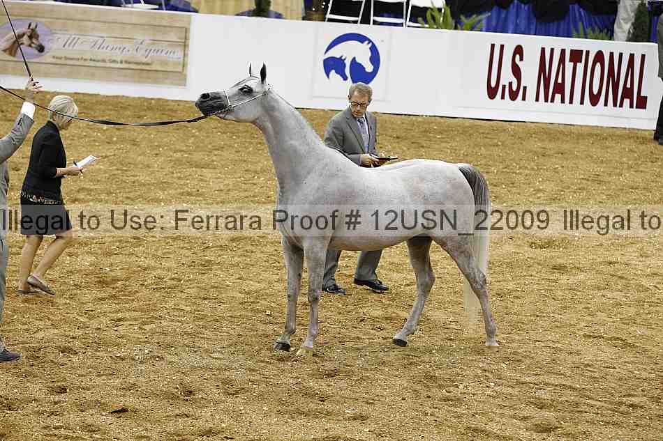 Proof 12usn_22009