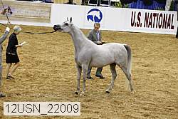 12usn_22009 proof
