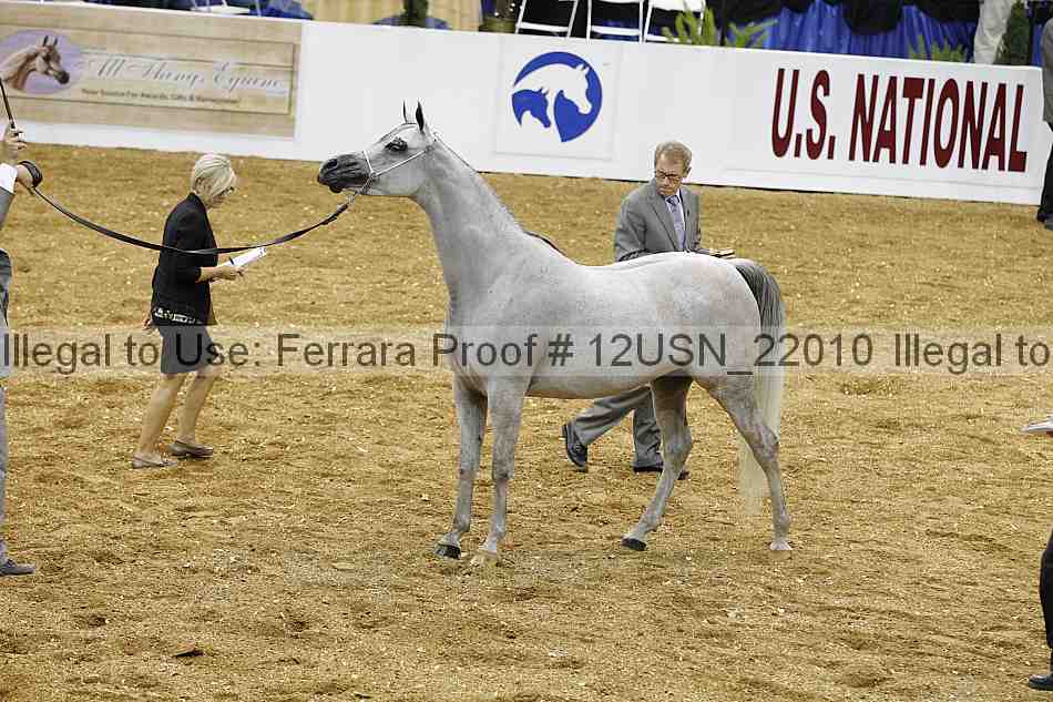 Proof 12usn_22010