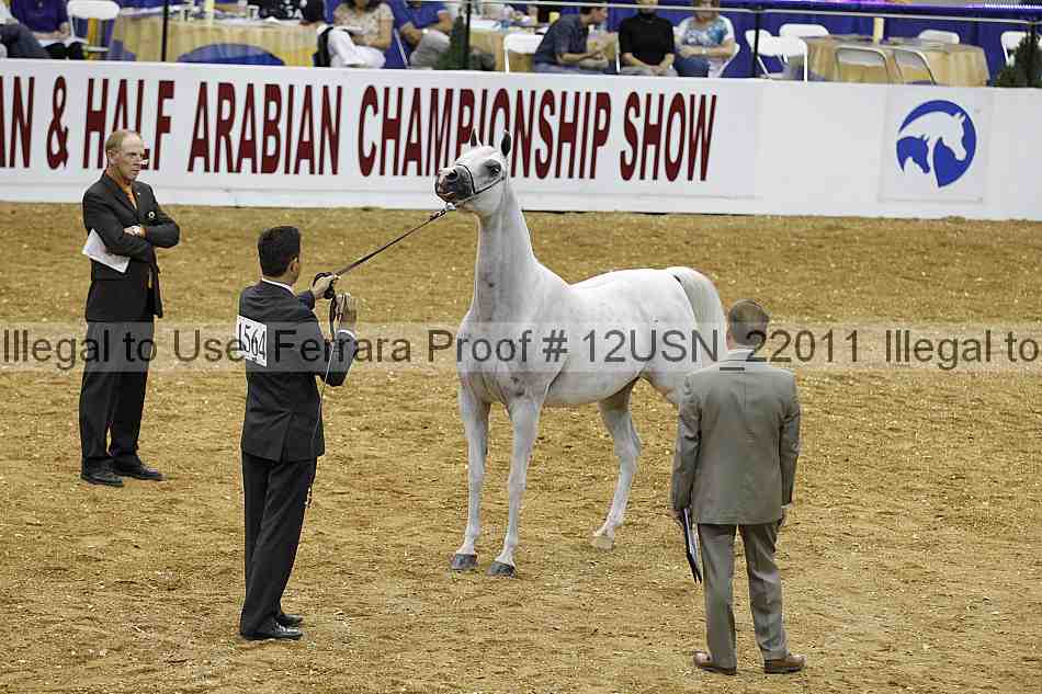 Proof 12usn_22011