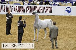 12usn_22011 proof