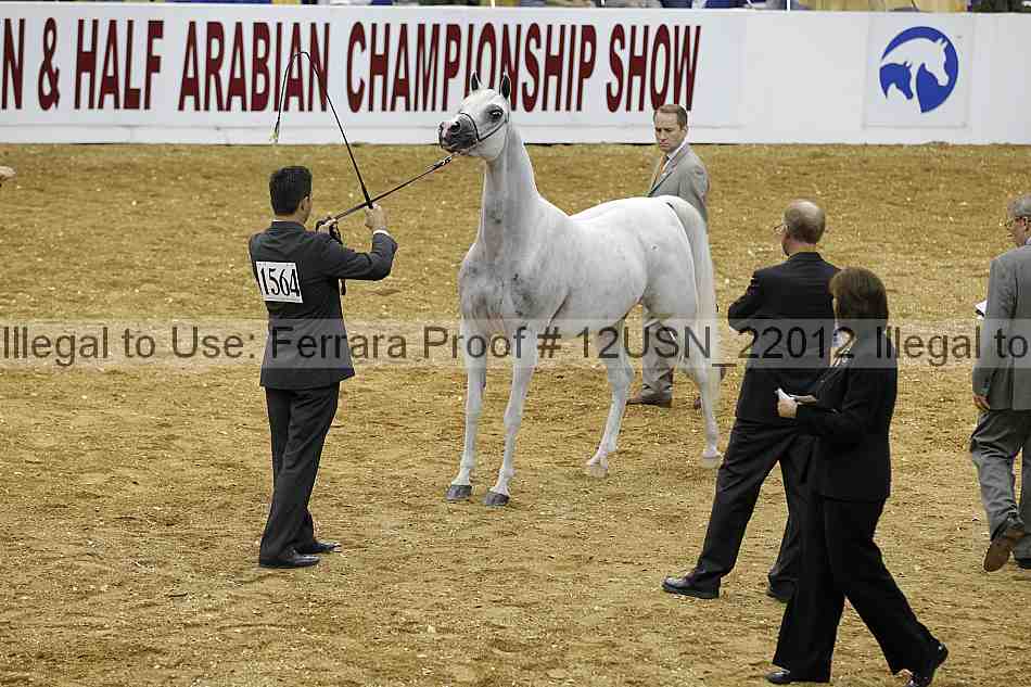 Proof 12usn_22012