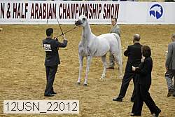 12usn_22012 proof