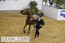 12usn_22055 proof