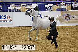 12usn_22057 proof