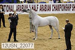 12usn_22077 proof