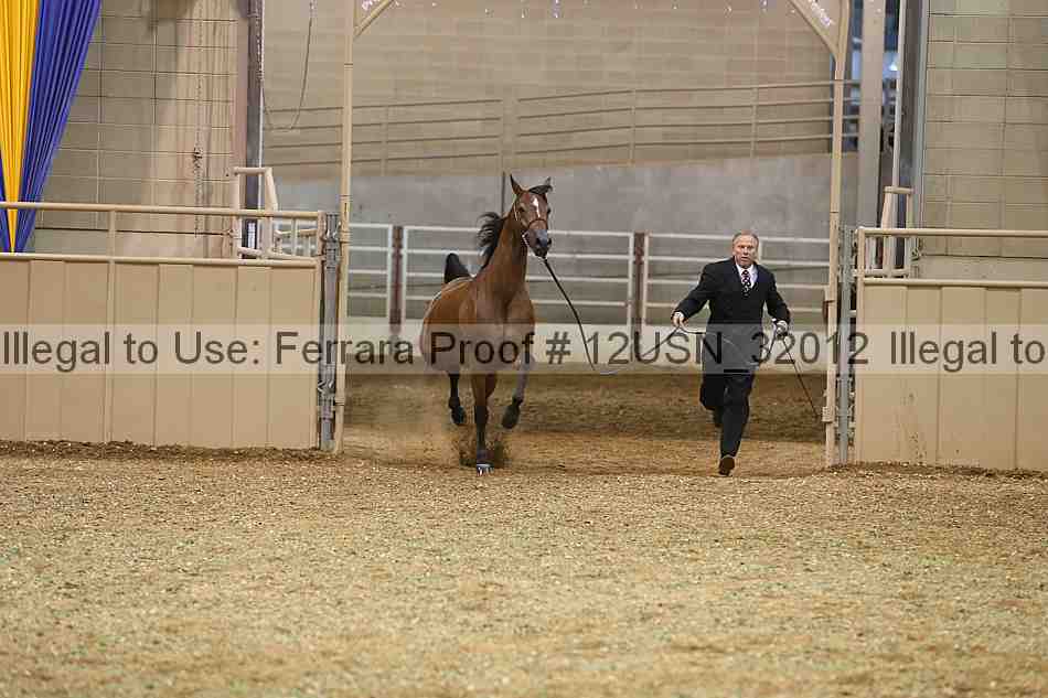 Proof 12usn_32012