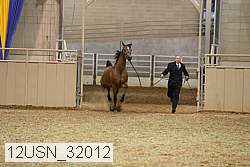 12usn_32012 proof