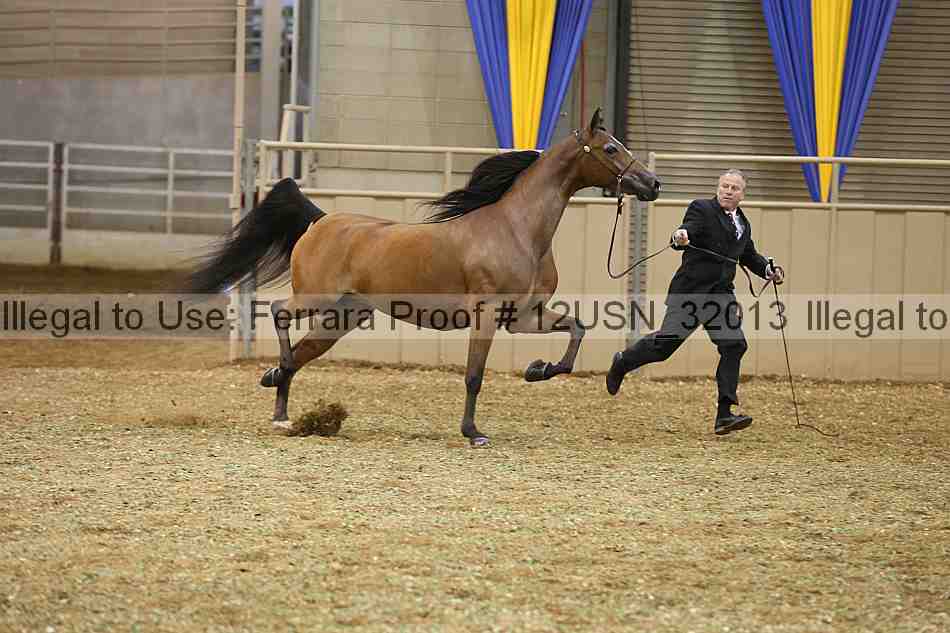 Proof 12usn_32013