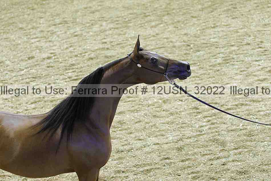 Proof 12usn_32022