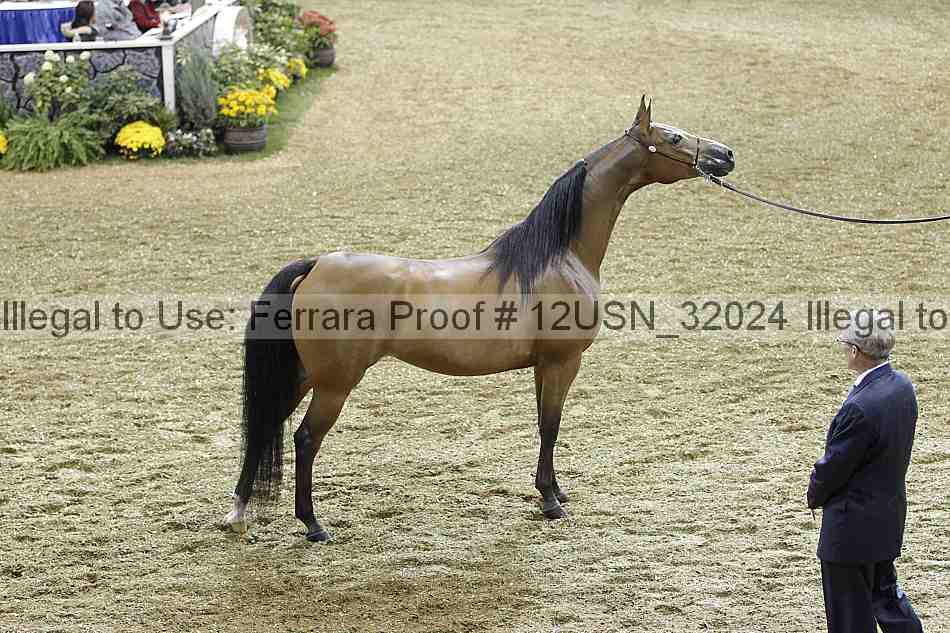 Proof 12usn_32024