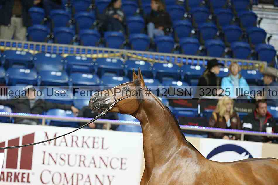 Proof 12usn_32025