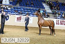 12usn_32029 proof