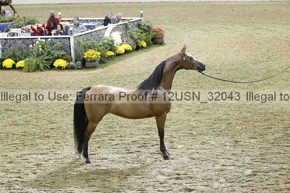 Proof 12usn_32043