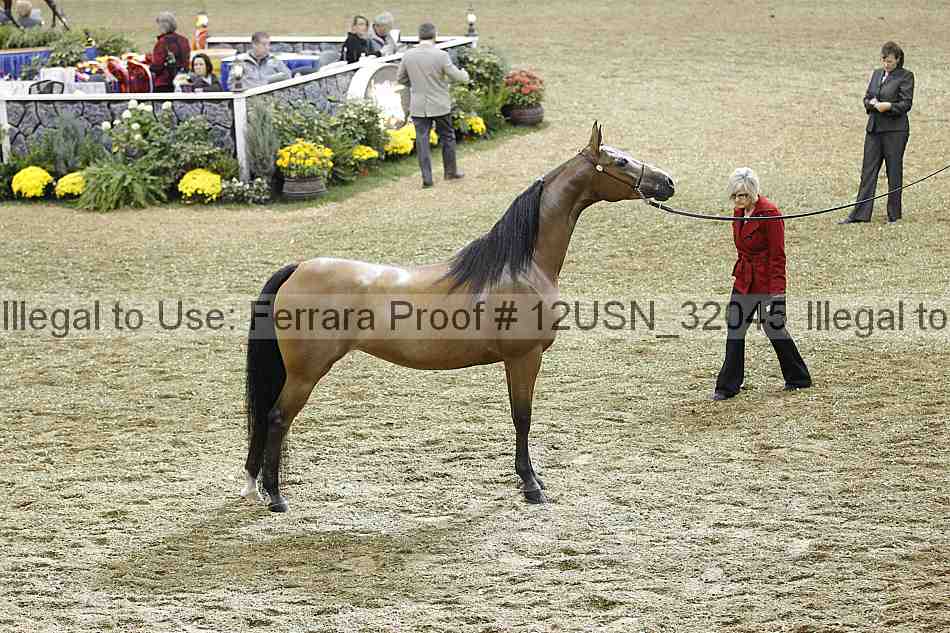 Proof 12usn_32045