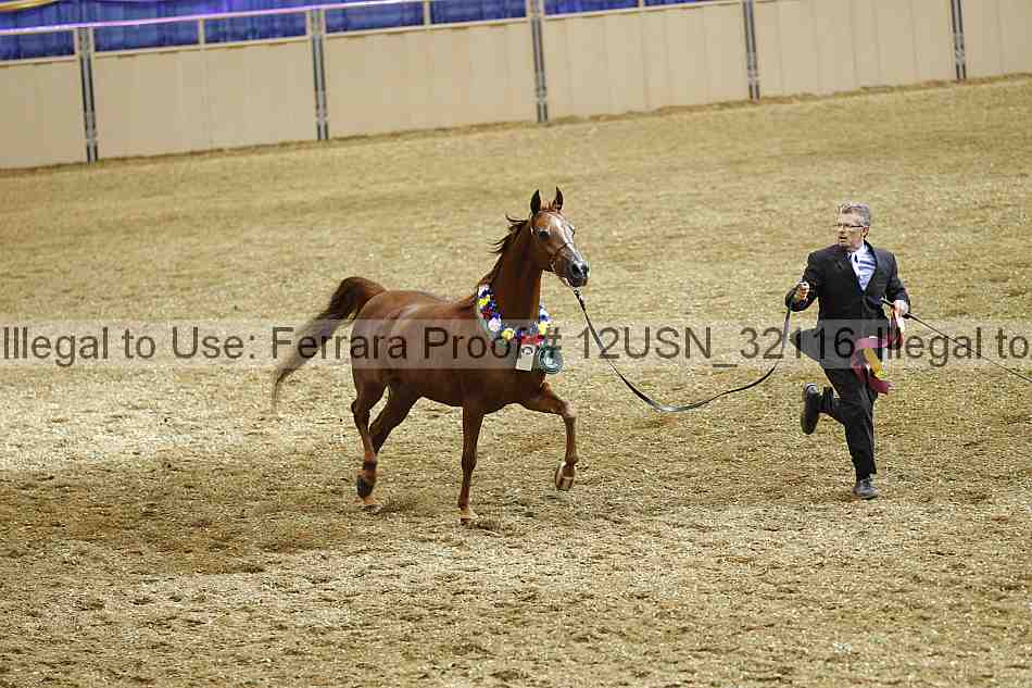 Proof 12usn_32116