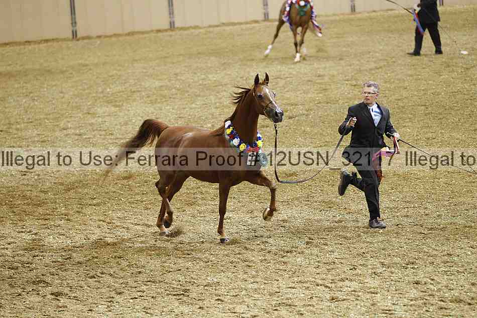 Proof 12usn_32117