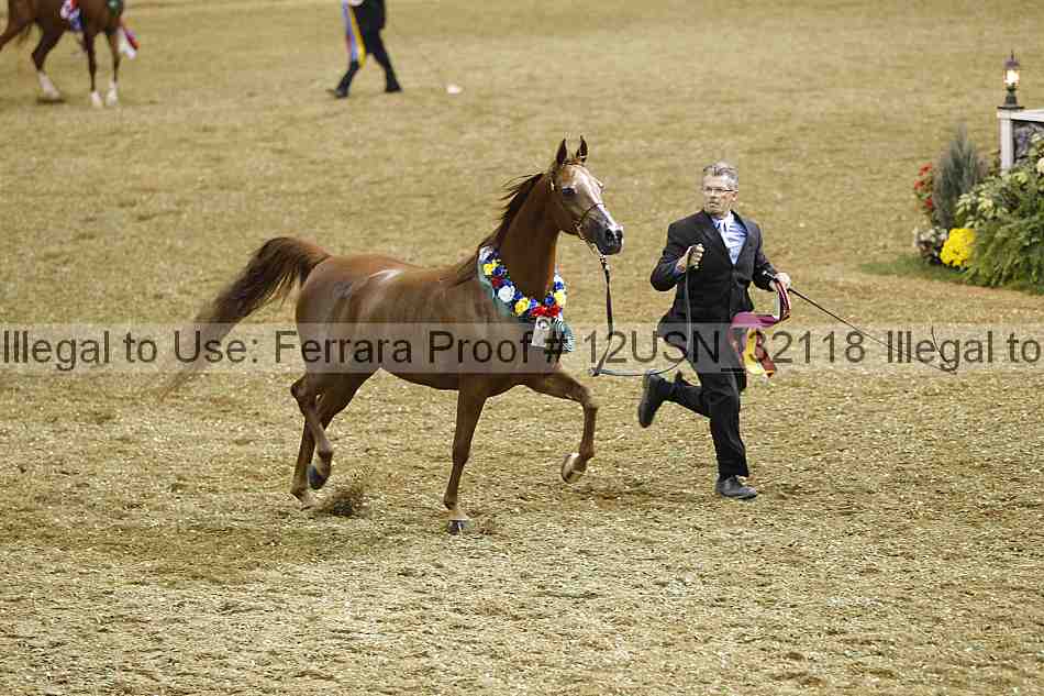 Proof 12usn_32118