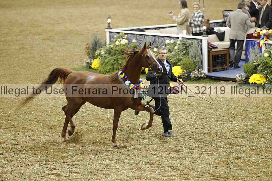 Proof 12usn_32119