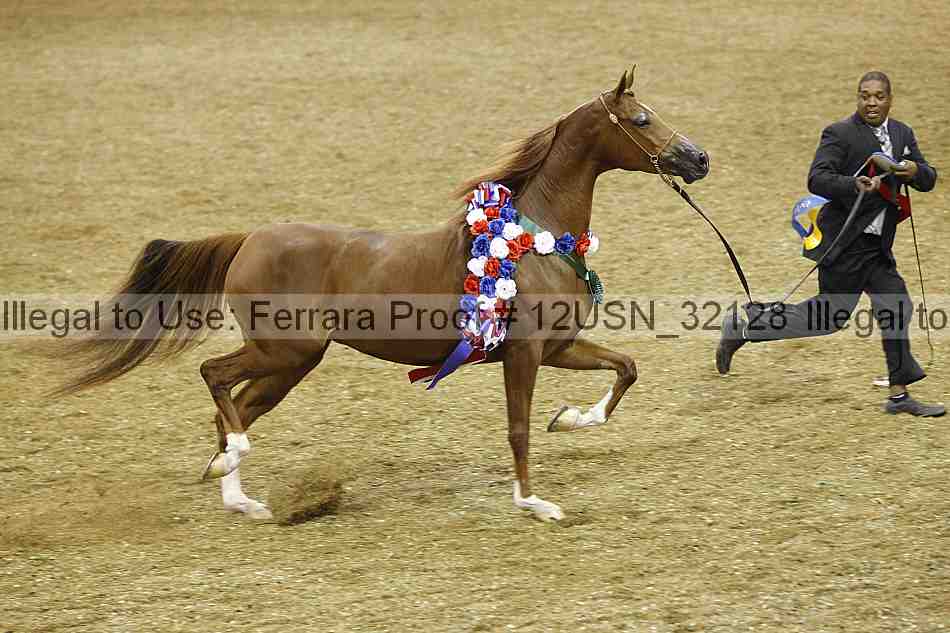 Proof 12usn_32128