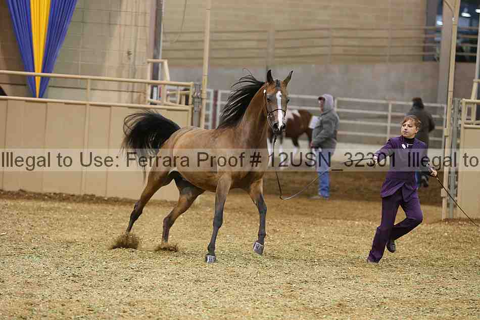 Proof 12usn_32301
