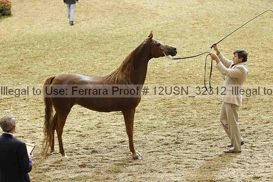 Proof 12usn_32312