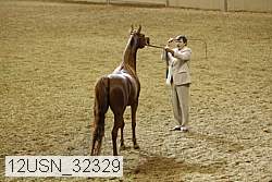 12usn_32329 proof