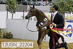 12usn_22204 proof