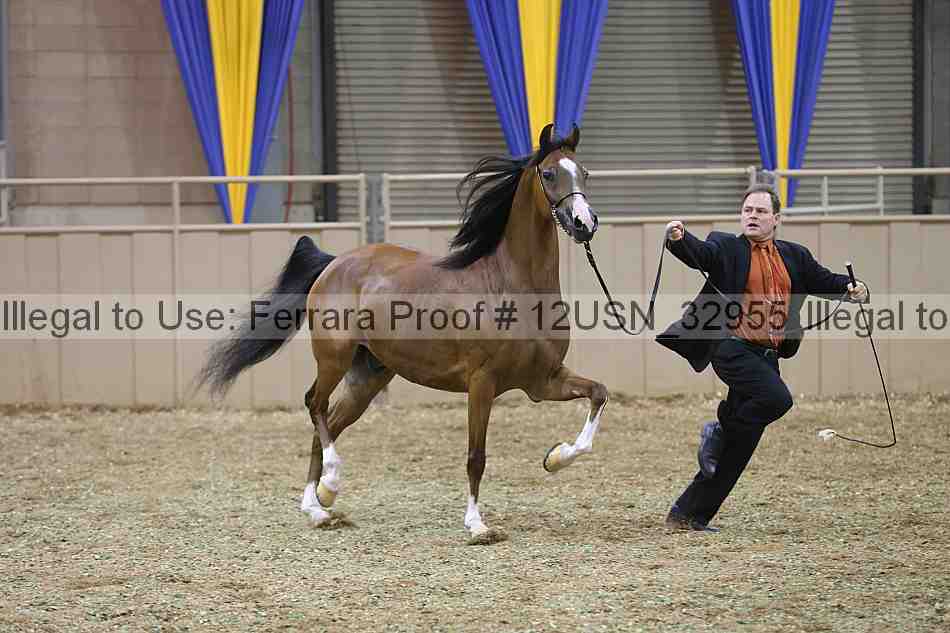 Proof 12usn_32955