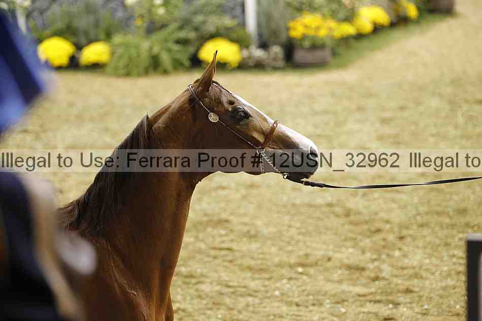 Proof 12usn_32962