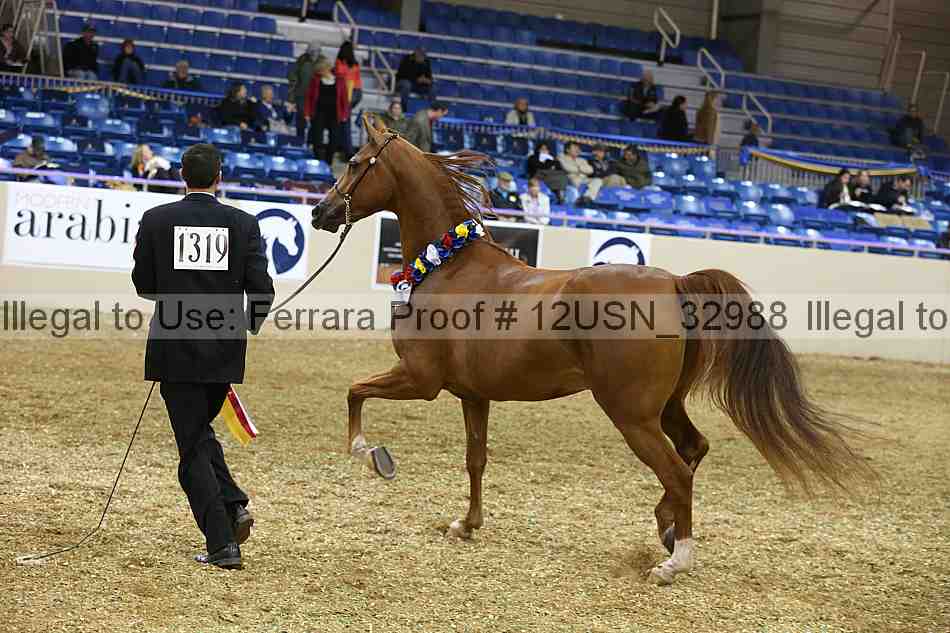 Proof 12usn_32988