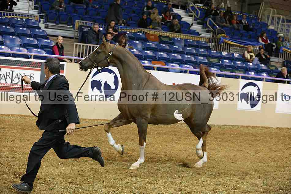 Proof 12usn_33031