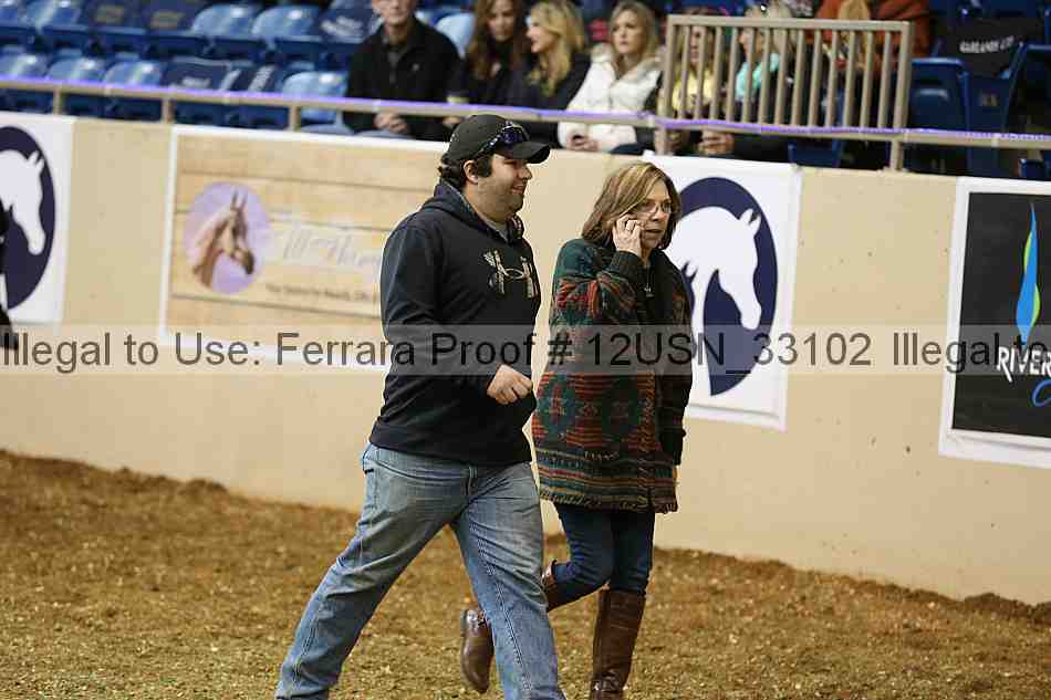 Proof 12usn_33102