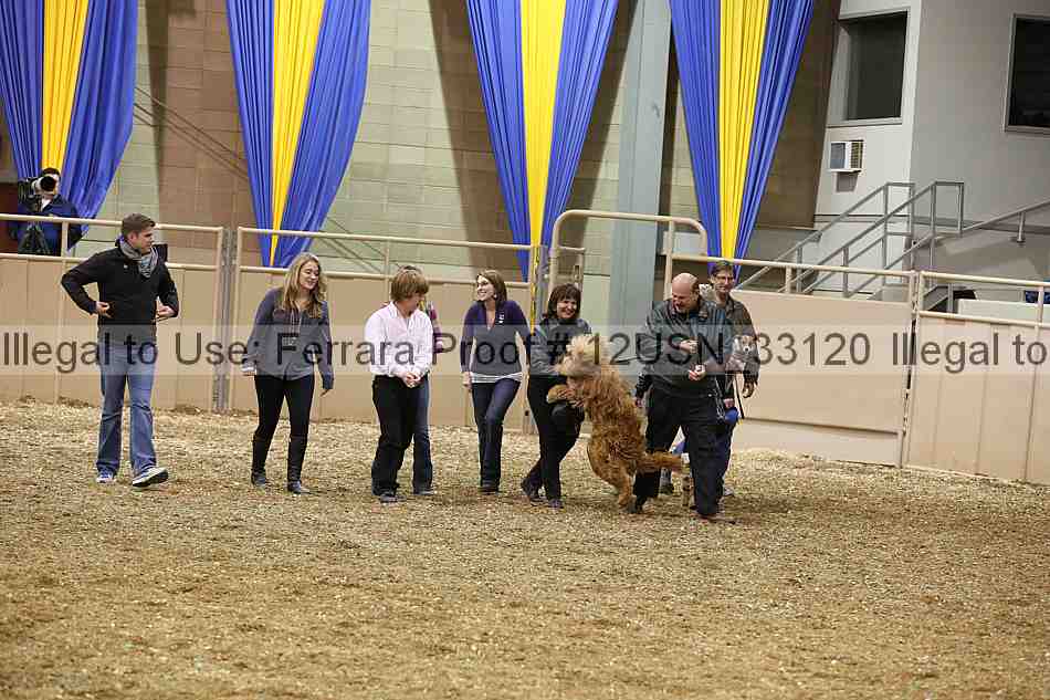 Proof 12usn_33120