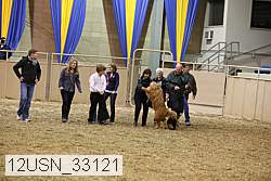 12usn_33121 proof