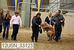 12usn_33123 proof