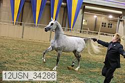 12usn_34286 proof