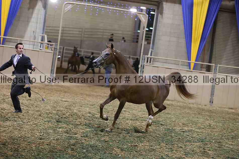 Proof 12usn_34288