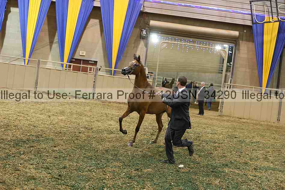 Proof 12usn_34290