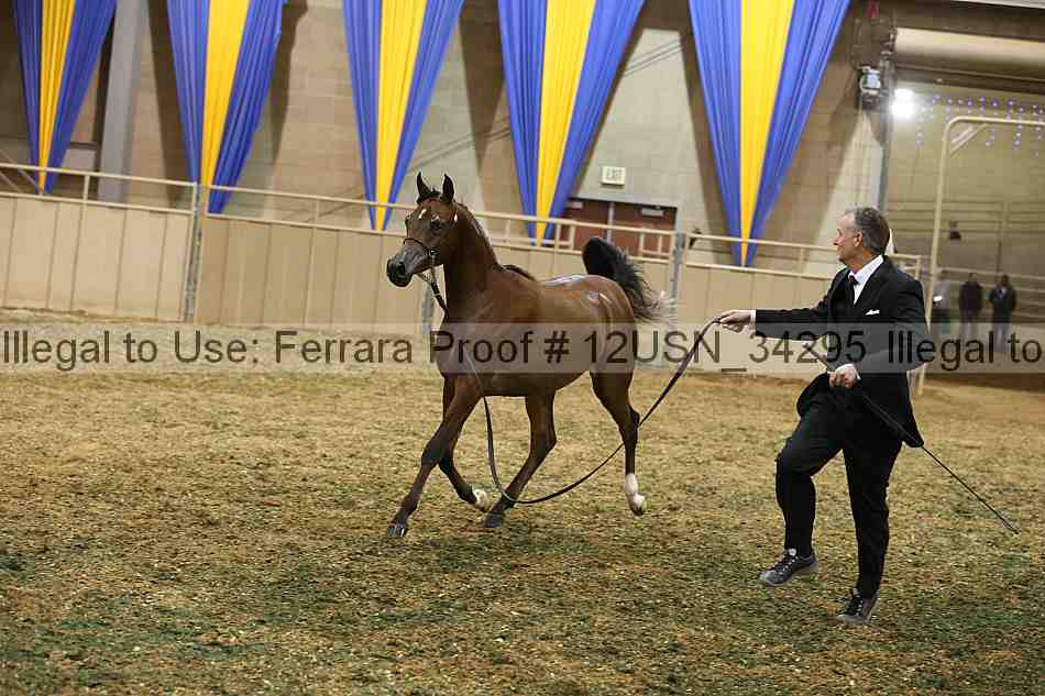 Proof 12usn_34295