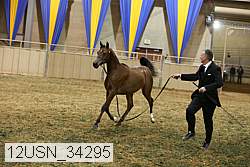 12usn_34295 proof