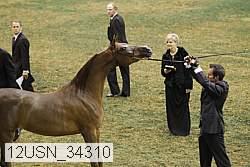 12usn_34310 proof