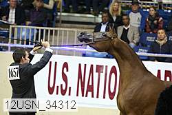 12usn_34312 proof
