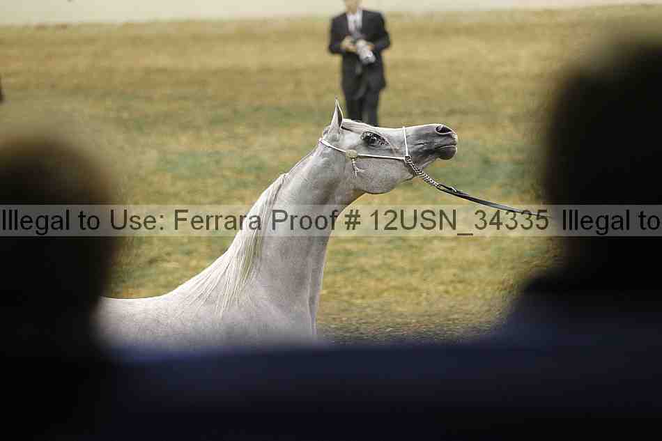 Proof 12usn_34335